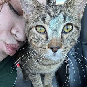 Meet your Posher, Jenna